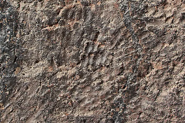Ancient handprints on a wall