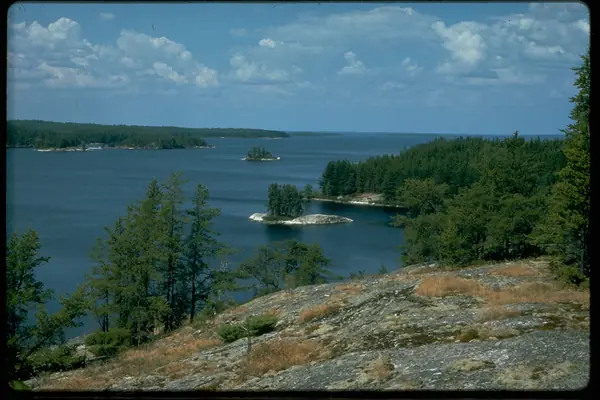 Forested islands on the water