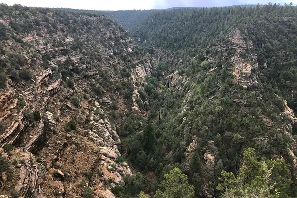 The forested limestone canyon