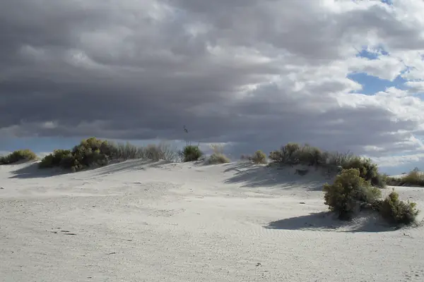 Dunes below the San Andres Mountains