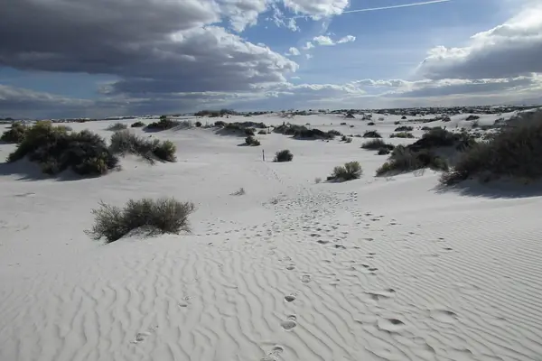 Endless white dunes under a blue sky