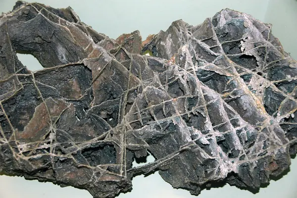 Rare boxwork formations in the cave