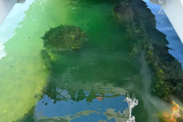 The USS Arizona Memorial spans the sunken battleship