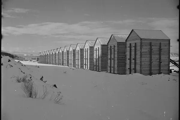 Barracks at the Tule Lake incarceration site