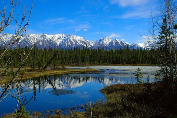 A pond below the Wrangell peaks