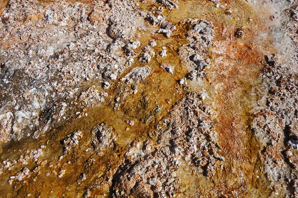 Microbial mats at a thermal basin