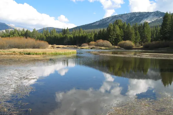 The Tuolumne River in the high country