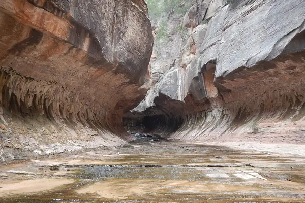 The Subway, in the Left Fork