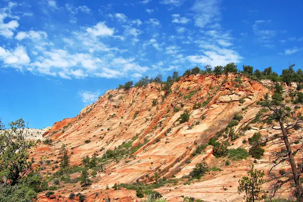 Checkerboard slickrock cliffs