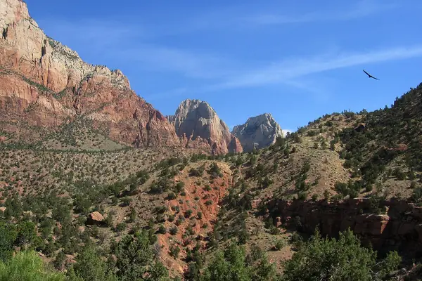 Zion Canyon walls